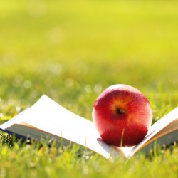 IEEE Computer Society Summer School